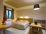 Standard Double room with balcony and with garden view