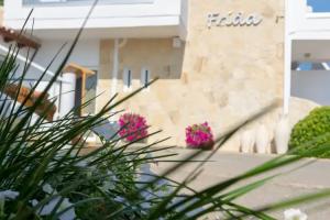 Frida Apartments, Chania Town