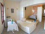 Standard Double room with garden view