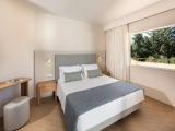 Deluxe Panorama Double Suite with pool view