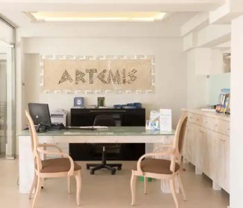 Artemis Apartments - 2