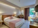 Standard room with mountain view