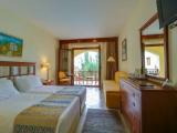 Standard Double room with pool view