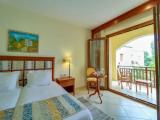 Standard Double room with pool view
