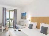 Standard room with balcony and with view