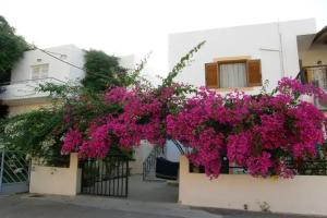 Artemis Apartments, Kato Stalos