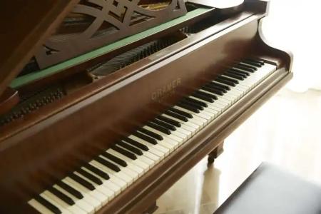 Mon Repos Palace - 25