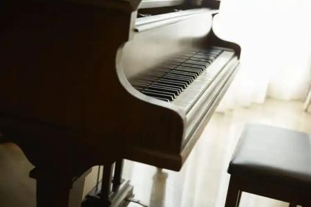 Mon Repos Palace - 28