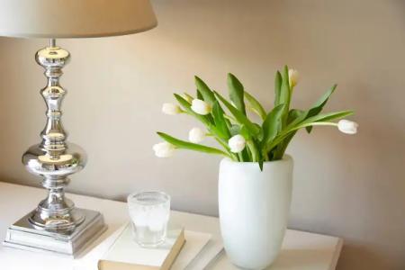 Mon Repos Palace - 31