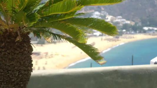 Levantes Ios Boutique - 21