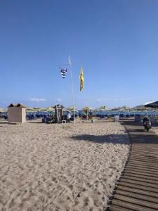 Olympic Palladium - 19