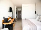 Superior Double room with balcony and with sea view