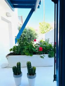 Portobello Boutique - 43