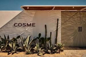 Cosme, a Luxury Collection Resort, Paros, Naousa