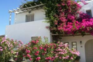 Despina's Mare, Naousa