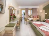 Standard room with garden view