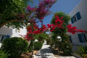 Acrogiali Beach Hotel Mykonos, Platis Yialos Mykonos