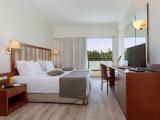 Standard Double room with pool view