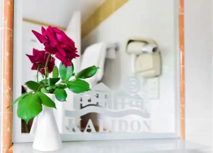 Kalidon Panorama - 31