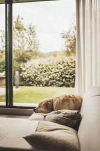 Les Lodges Sainte-Victoire & Spa - 118