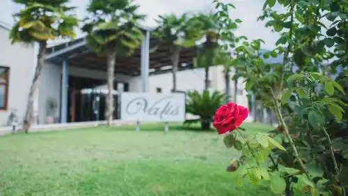Valis Resort