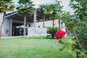 Valis Resort Hotel