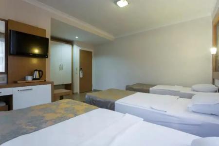 Lonicera City - 31