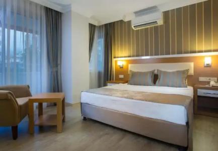 Lonicera City - 50