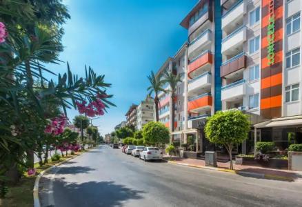 Lonicera City - 29