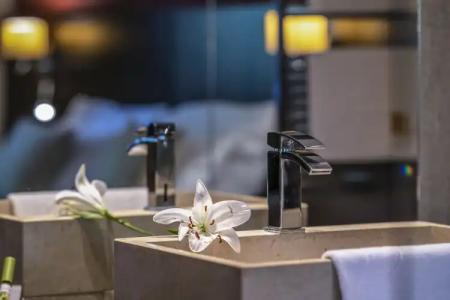 Budapest Airport Stacio Superior Wellness & Konferencia - 12