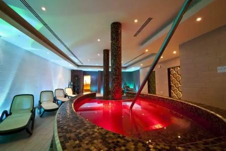 Budapest Airport Stacio Superior Wellness & Konferencia - 25