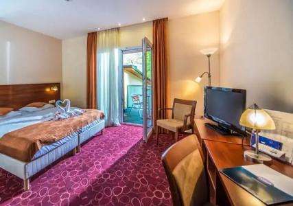 Patak Park - Adults Only - 52