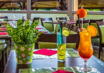 Patak Park - Adults Only - 30