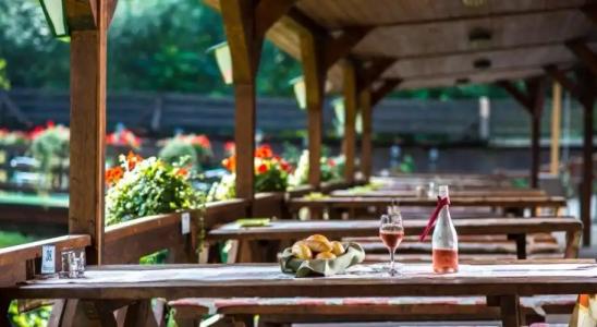 Patak Park - Adults Only - 12