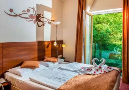 Patak Park - Adults Only - 6