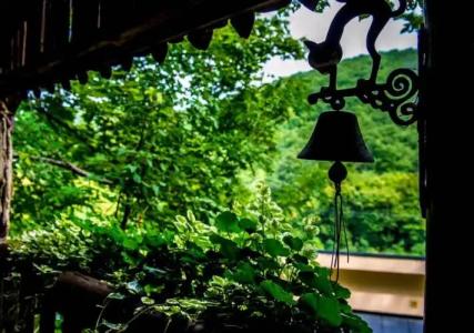 Patak Park - Adults Only - 28