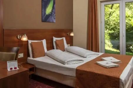 Patak Park - Adults Only - 43