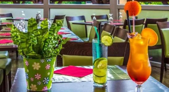Patak Park - Adults Only - 13