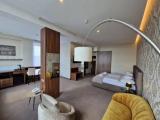 Panorama Double Suite with city view