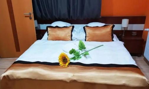 Holiday Beach Budapest Wellness with Sauna Park - 89