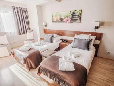 Holiday Beach Budapest Wellness with Sauna Park - 69