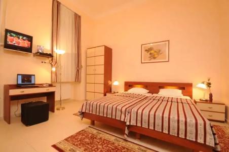 Budapest Museum Central - 18