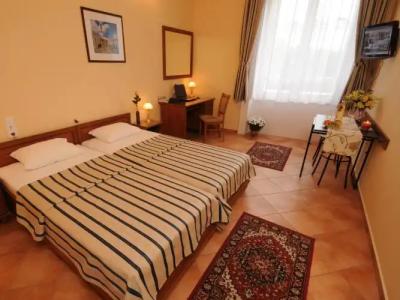 Budapest Museum Central - 30