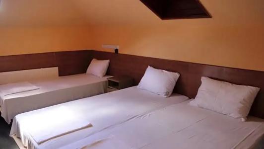 Attila Budapest - 42