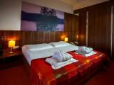 Superior Terrace Double room