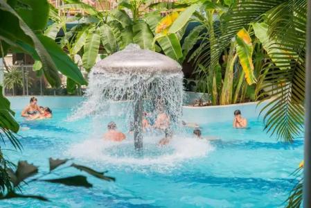 Aquaticum Debrecen Termal & Wellness - 11