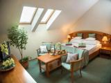 Standard Double Attic room