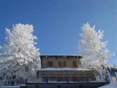Bellavista