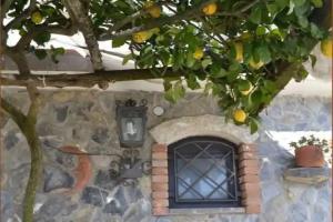 Farm Stay «Luna D'Agerola», Agerola
