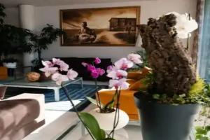 Hotel Ristorante I Castelli, Alba